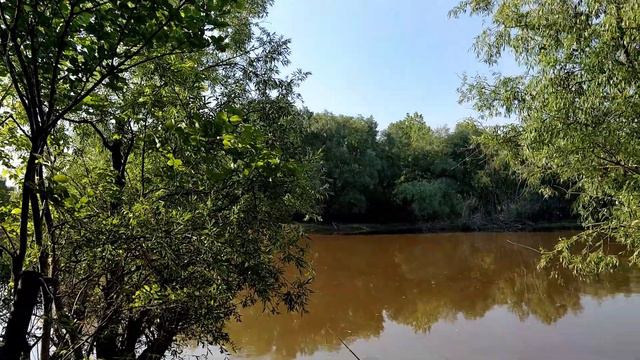 Открыли сезон! Рыбалка в естественной среде №4 смотреть онлайн