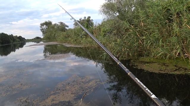 НОГИ ЗАТРЯСЛИСЬ ОТ ЭТОЙ ПОИМКИ!! ДИКИЕ ПОКЛЁВКИ КРУПНЯКА на ПОВЕРХНОСТИ ВОДЫ! Рыбалка 2021. смотреть онлайн