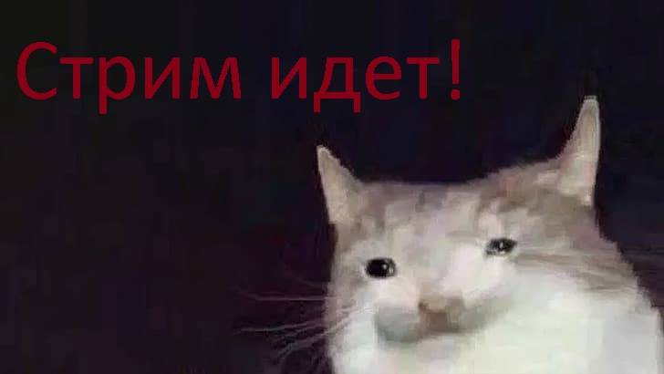 Dzeray- смотреть онлайн