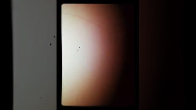 Как нарисовать мышь смотреть онлайн