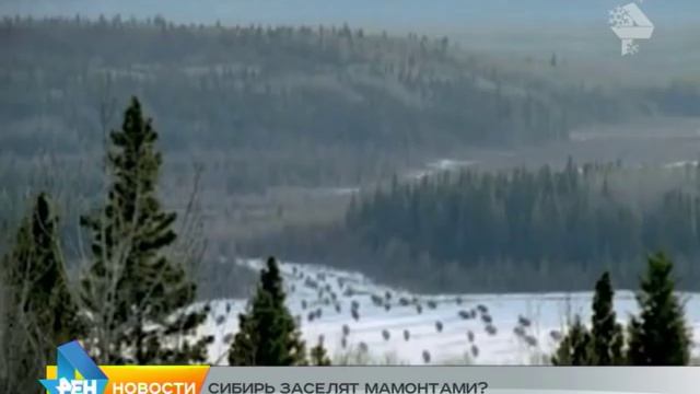 мамонты в Сибири смотреть онлайн