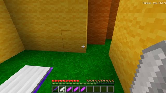 НОВАЯ РУБРИКА ВЫБЕРИ ПРАВИЛЬНЫЙ ЛАБИРИНТ ЛЕДИ БАГ ГОВОРЯЩИЙ ТОМ СОНИК В МАЙНКРАФТ смотреть онлайн