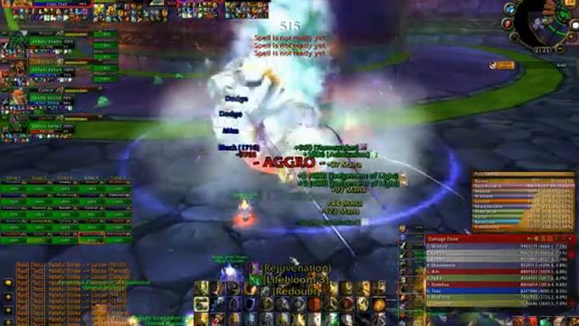 WoW Patchwerk Paladin Tank смотреть онлайн