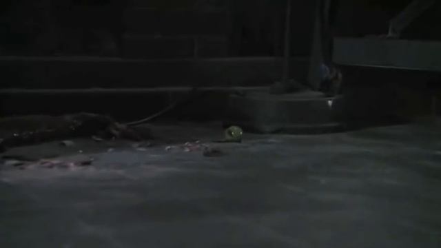 I Dudditz смотреть онлайн