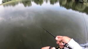 ЖОР ЩУКИ на воблеры НАЧАЛСЯ!  Твичинг крупных воблеров! ВОБЛЕРЫ с Алиэкспресс которые ЛОВЯТ!