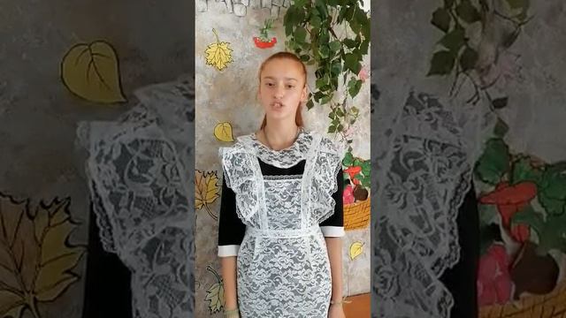 Почему я хочу работать в сфере образования. Профориентационный проект "Пеликанчик". смотреть онлайн