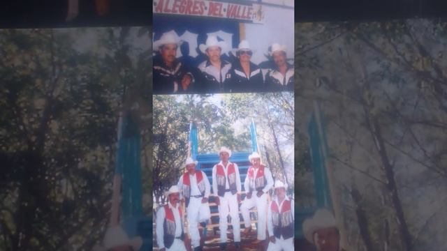 Como palomas perdida L y M FAUSTO ANGULO ANGULO смотреть онлайн
