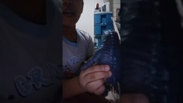 RD's Stretchapalz смотреть онлайн