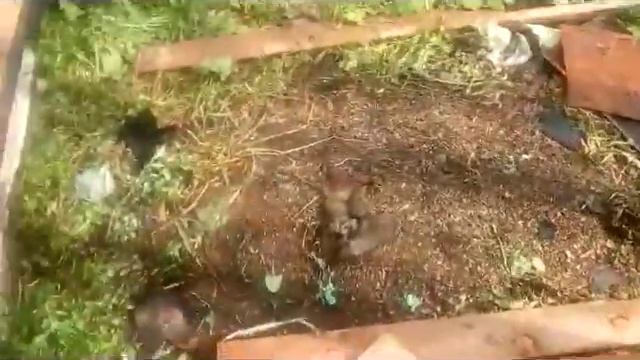 баня из поддонов,стройка номер 2 (часть 1 каркас и фундамент) смотреть онлайн