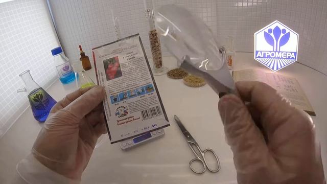 Томат Русский герой F1. СеДеК смотреть онлайн