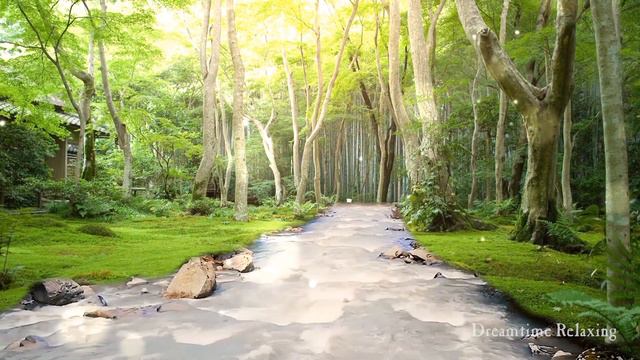Japanese Flute (SHAKUHACHI) Music With Water Sound And Wind Chimes (stress Relief,study,sleep,yoga)
