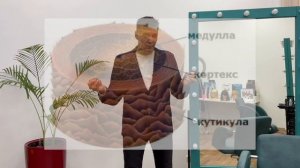 Строение волоса: что должен знать парикмахер?