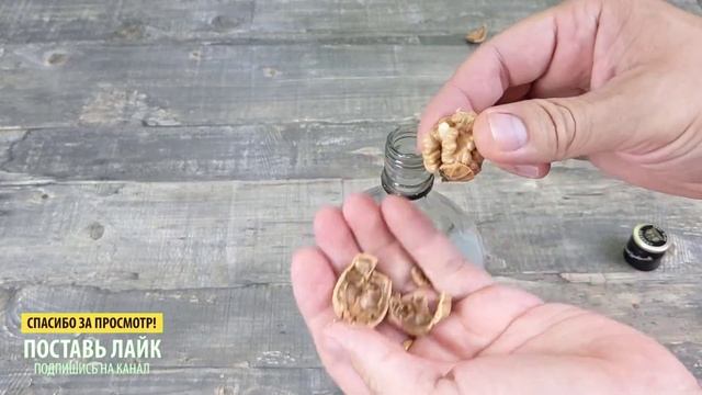 Теперь ЧИЩУ только ТАК! Как Легко Очистить Грецкие Орехи от скорлупы смотреть онлайн