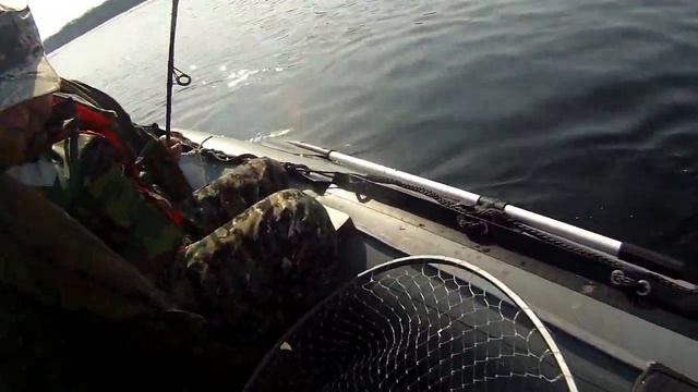 Таймень 4 кг смотреть онлайн