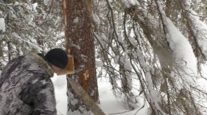 Отдых в Омской Тайге