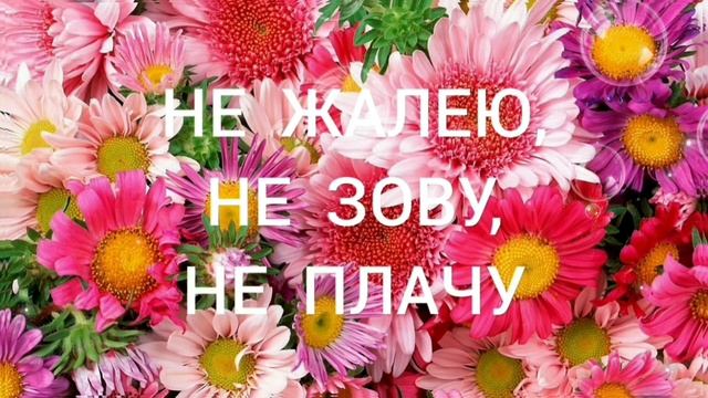 НЕ ЖАЛЕЮ, НЕ ЗОВУ, НЕ ПЛАЧУ.