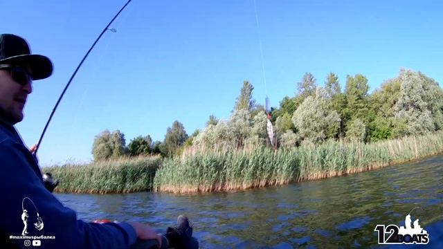 Рыболовные Орнаменты