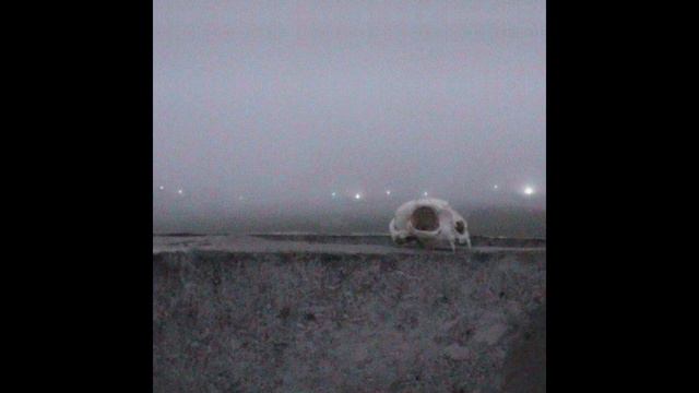 Henry Grey - Radiation смотреть онлайн