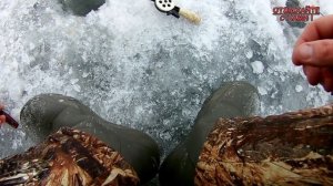 Ловля чехони зимой на р. Ахтуба. Рыбалка в Астраханской области.