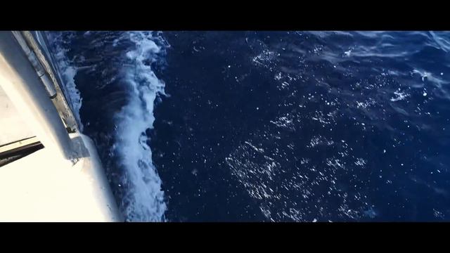 S01E07 Diving the Palestro - Battle of Lissa 2018 смотреть онлайн