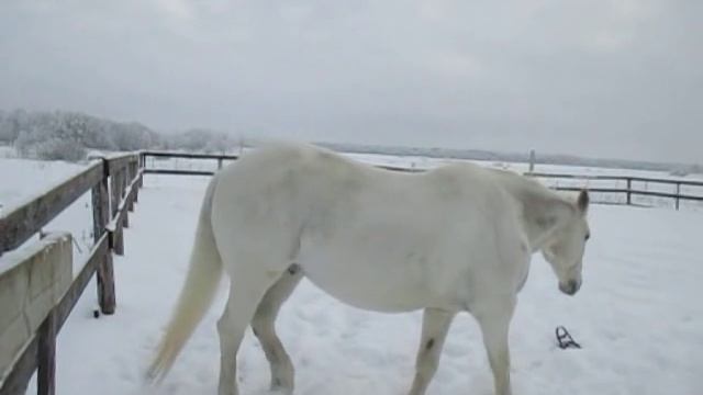 Как Будда уговорил меня поиграть в аппортировку смотреть онлайн