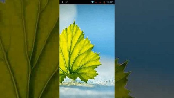 Kate Mobile не воспроизводит видео, что делать?