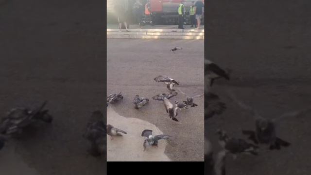 Момент смотреть онлайн