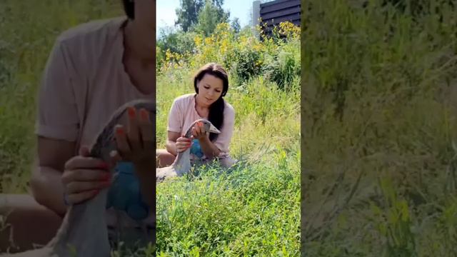 #ГУСЬЛЮБОВЬ