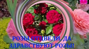 ГОТОВИМ РОЗЫ К НОВОМУ ЦВЕТЕНИЮ