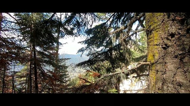 Поход в заповедник Большой Тхач смотреть онлайн