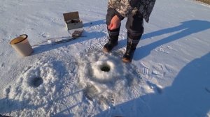 Рыбалка на поставушки с папой или как мы щуку с блесной в пасти поймали Рыбалка 2022 Рыбалка на щук