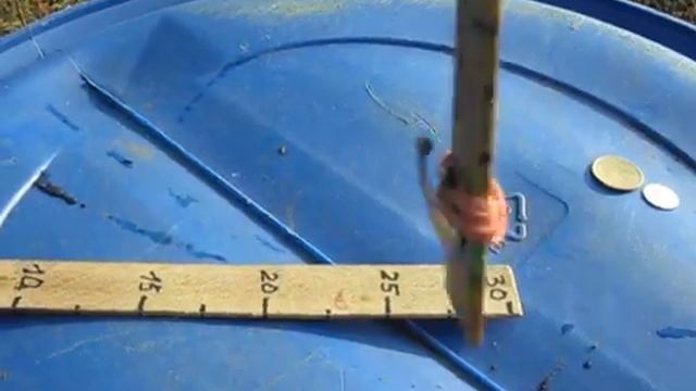 FortuneP2_ShevaLab PCB_ & DD Delovera смотреть онлайн