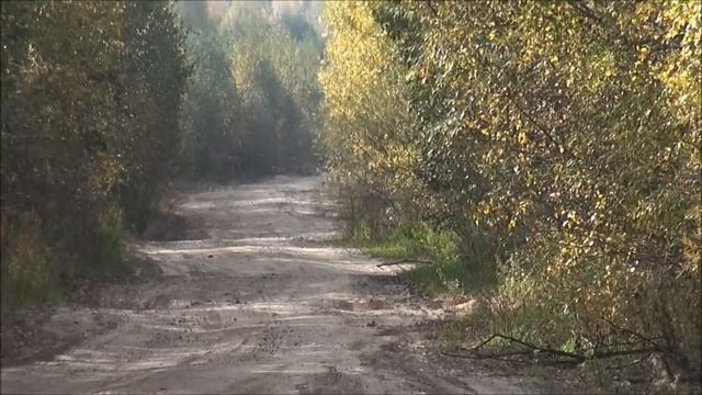 Бесстрашный заяц ! Русская гончая Сигнал (Плакуня) вл. Шатров В.А. смотреть онлайн