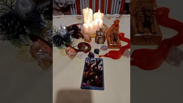 Previsione astrologica del 11.01.24 смотреть онлайн