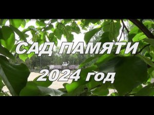 Сад памяти 2024 год