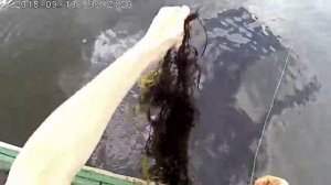 Охота и рыбалка в свердловской области ( хороший клев осенью на озере )