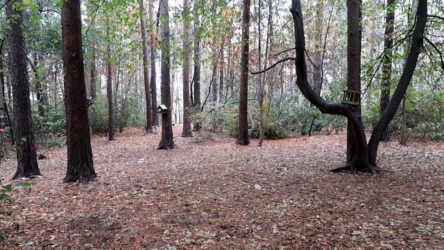 ЗАВАЛИЛО СНЕГОМ, ПЕРЕКРАСИЛАСЬ, ВЫСТАВКА ДИНОЗАВРОВ смотреть онлайн