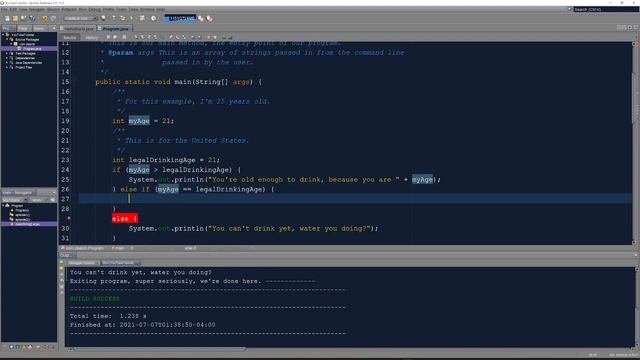 Fast Conditional Branching In Java Made Simple With If, Else If, and Else Statements | Java Part 3 смотреть онлайн