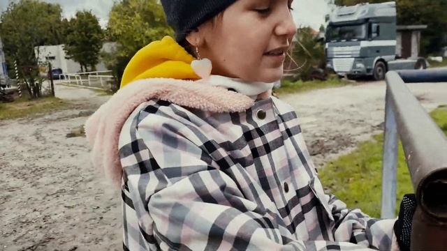 24 часа в конюшне смотреть онлайн