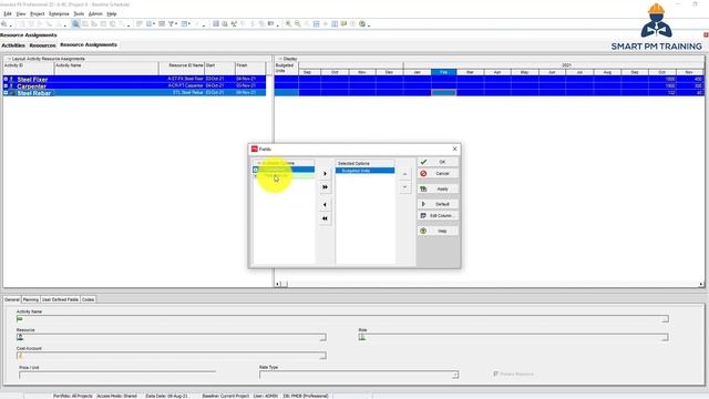 28. Resources Allocation and Assignments in Primavera P6 смотреть онлайн