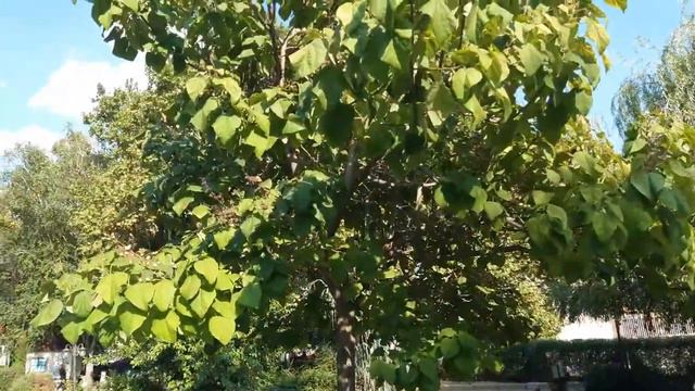 Николаев,Сказка,21 августа 2021 смотреть онлайн