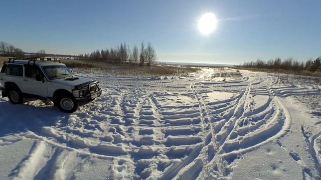 Лыжная прогулка в рощу. Вырубка ёлок в поле смотреть онлайн