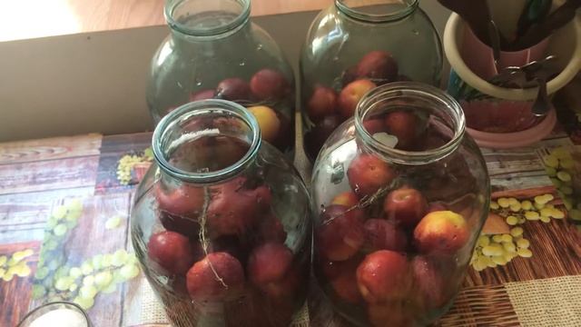 Компот из АЛЫЧИ КУБАНСКАЯ КОМЕТА ? смотреть онлайн