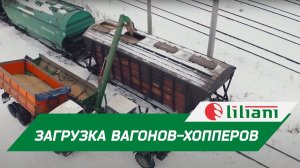 Загрузка вагонов-хопперов с помощью МВА 250 в Ульяновске