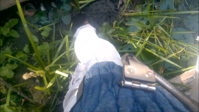 ВЕЛОПРОГУЛКА НА СТАРИЦУ смотреть онлайн