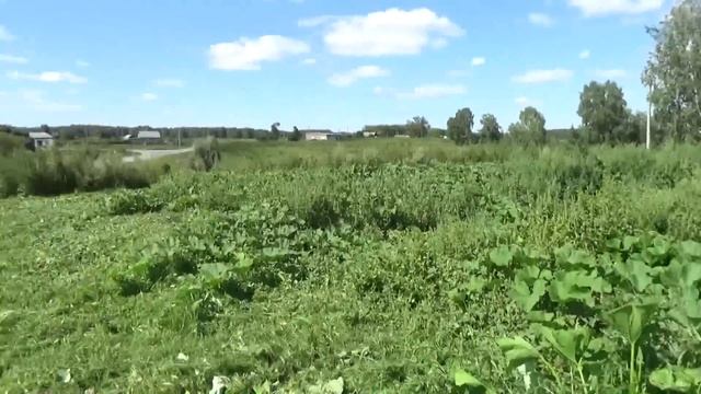 Огород в деревне . смотреть онлайн