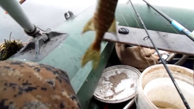 Рыбалка Ловля щуки на живца 22 10 20 смотреть онлайн