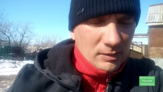 Всё лошади разбежались.| Стрелка ушла из табуна. Ласточка-2 сильно захромала. смотреть онлайн