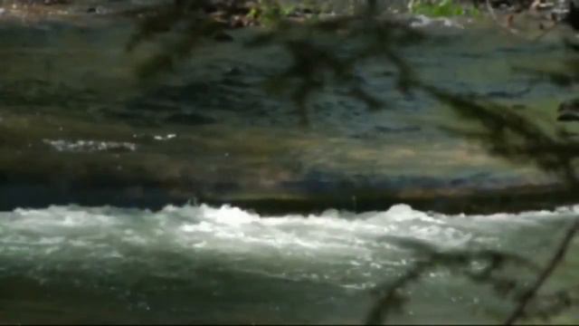 Чарджоу - цветущий май смотреть онлайн