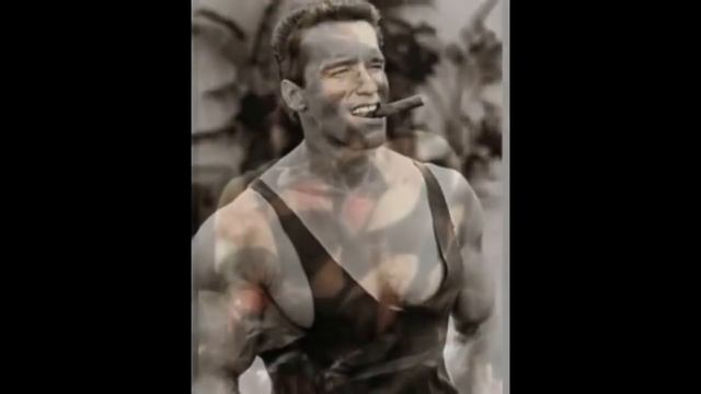 Основные принципы тренировки на силу, массу, мощность и выносливость.